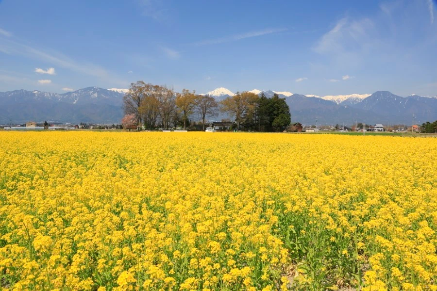 安曇野のエリア紹介イメージ