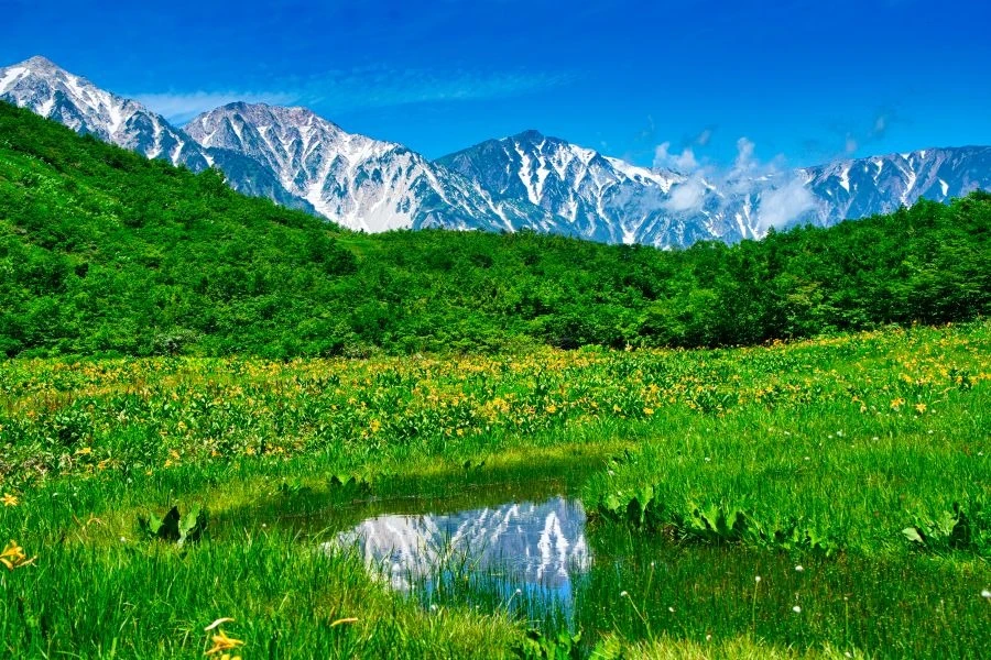 白馬のイメージ1