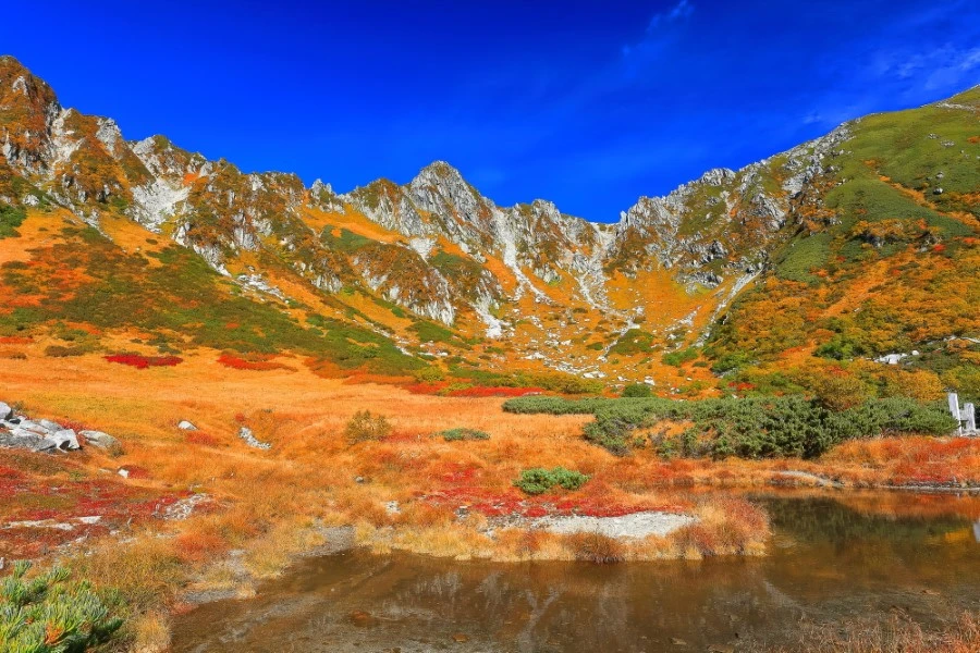 木曽のイメージ1