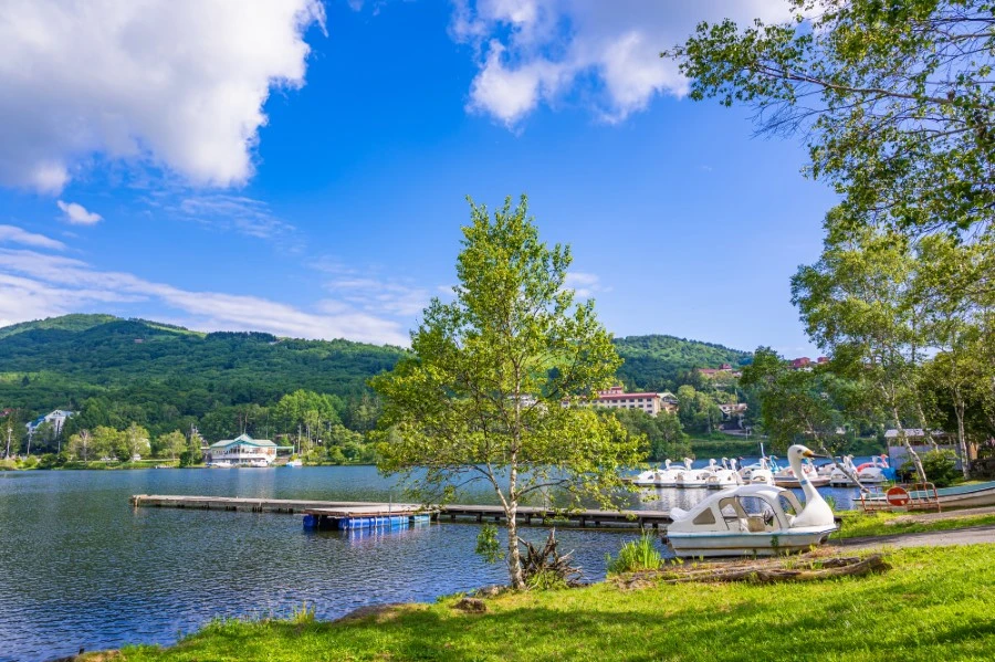 白樺湖のエリア紹介イメージ