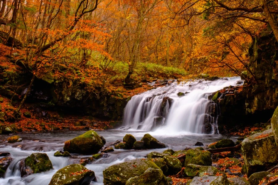 蓼科のイメージ2