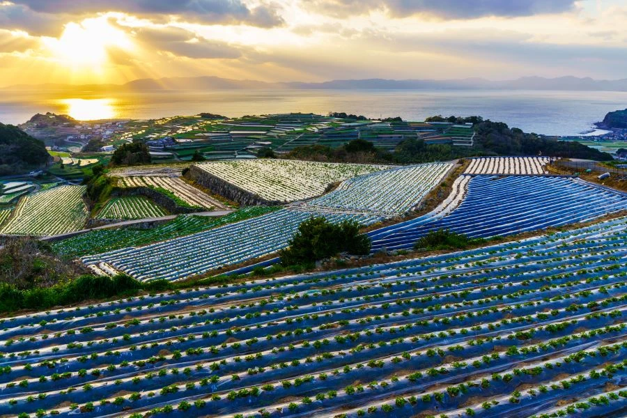 雲仙温泉のイメージ1