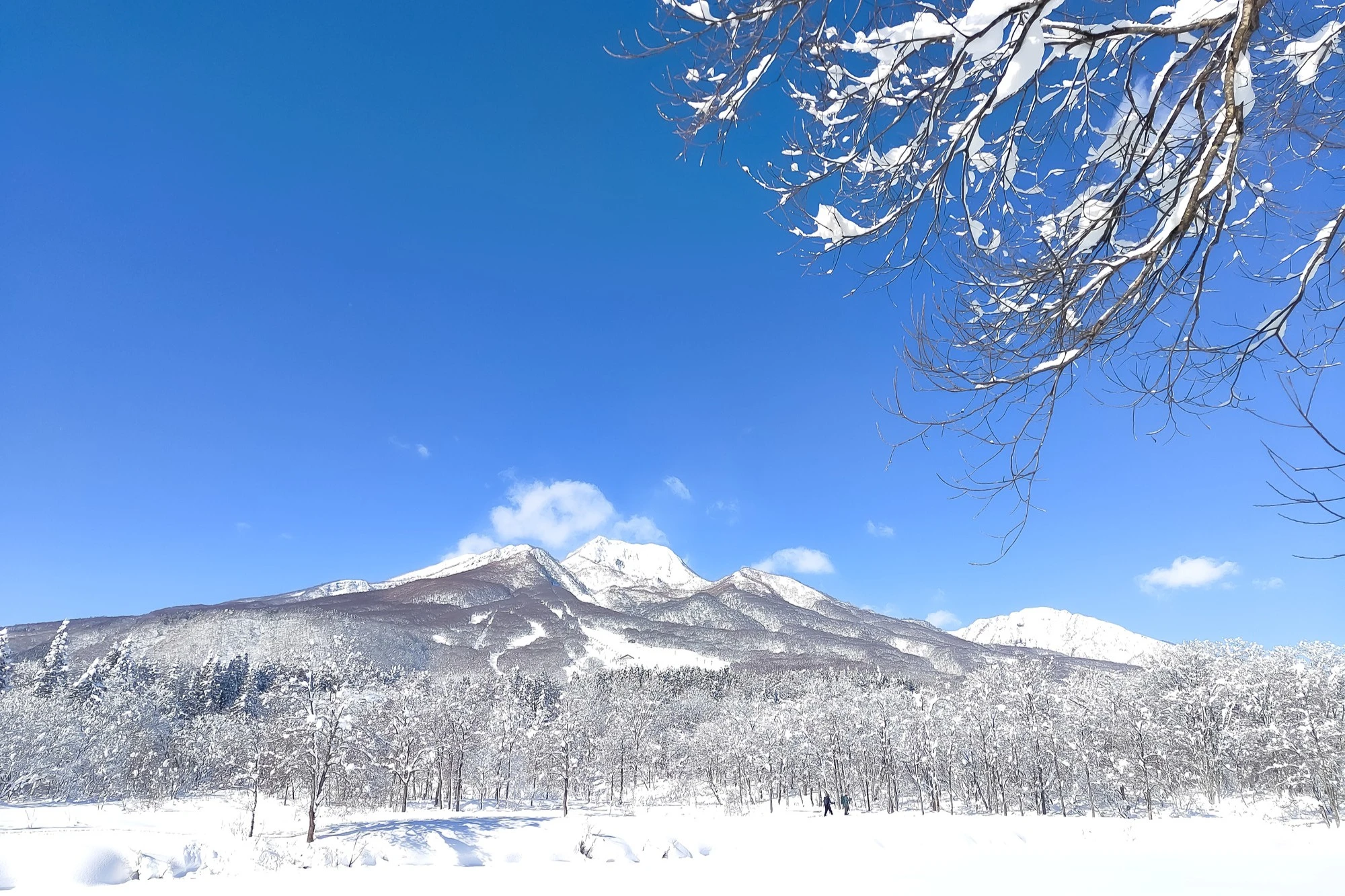 妙高高原のイメージ1