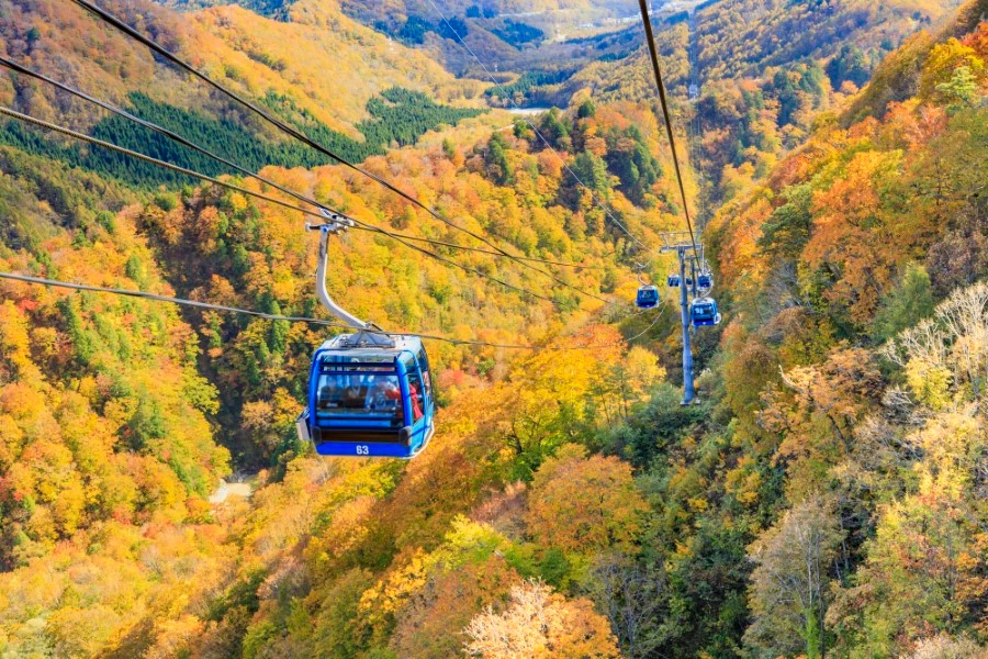 苗場のイメージ2