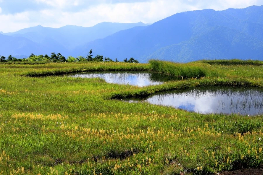 苗場のイメージ3