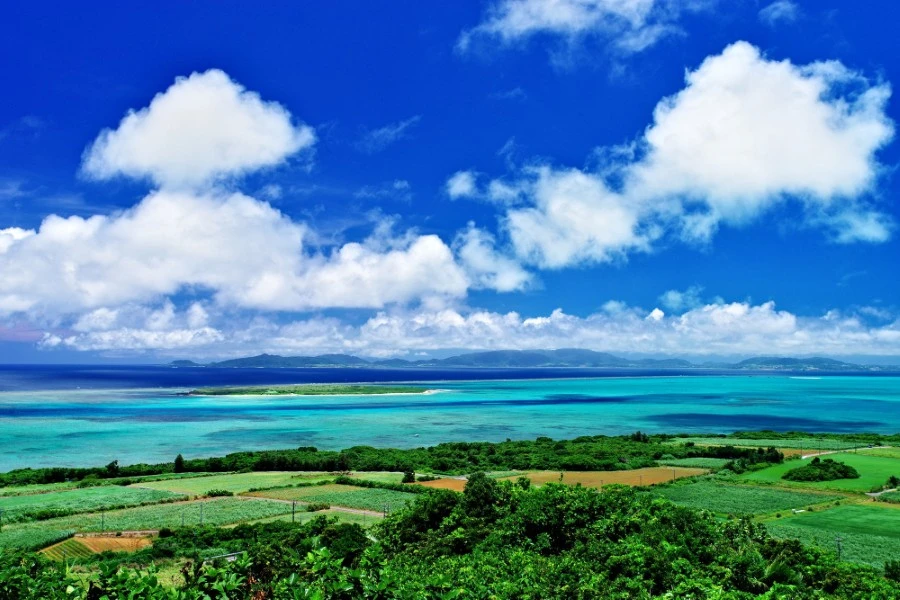 小浜島のエリア紹介イメージ