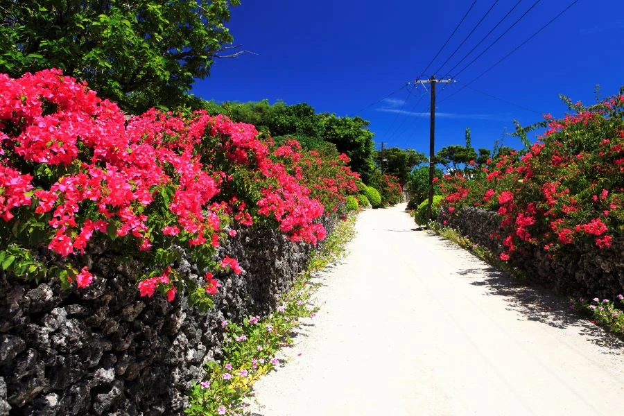 竹富島のイメージ1