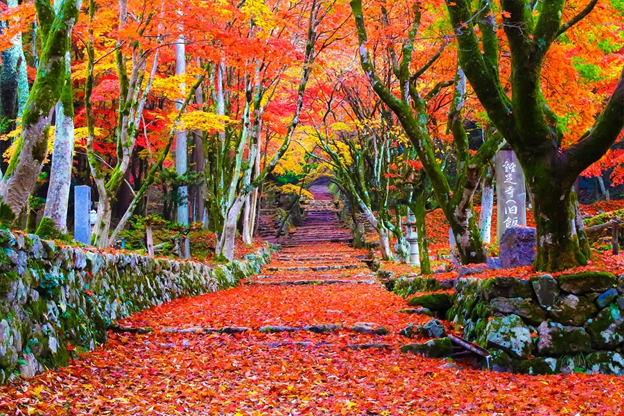 長浜のイメージ1