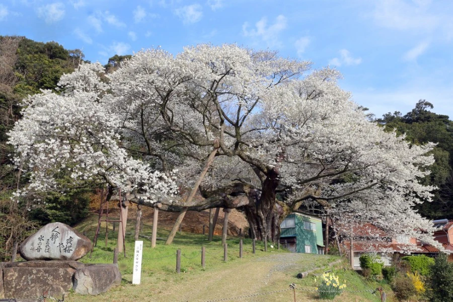 美又温泉のイメージ2
