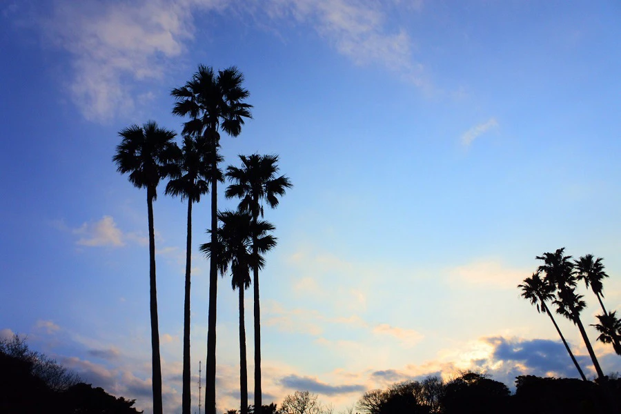 初島のイメージ1