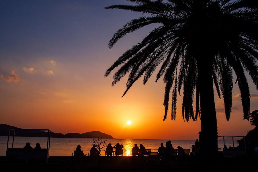 初島のエリア紹介イメージ