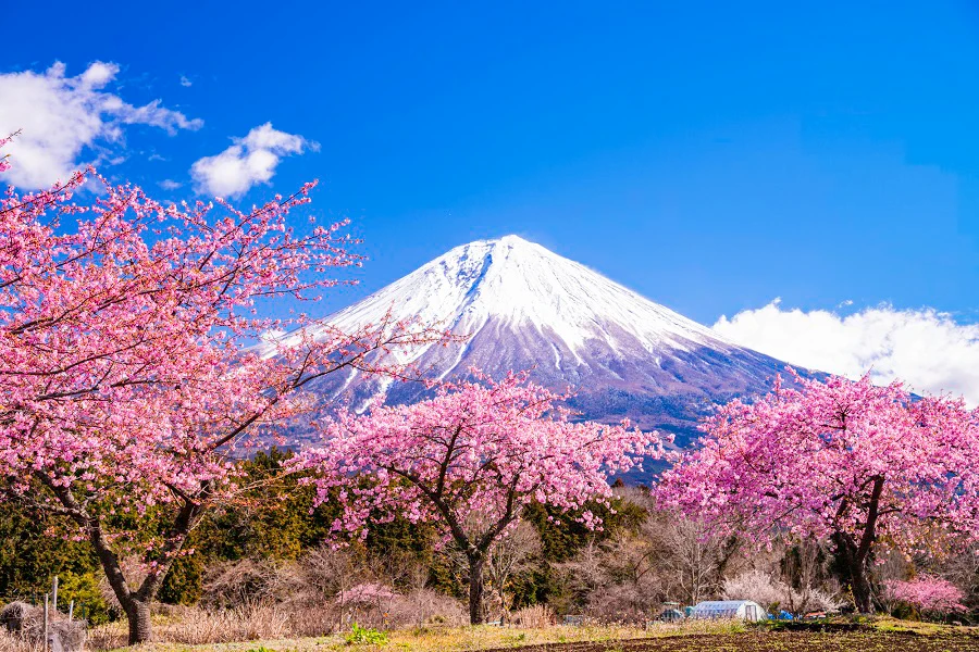 エリア紹介イメージ