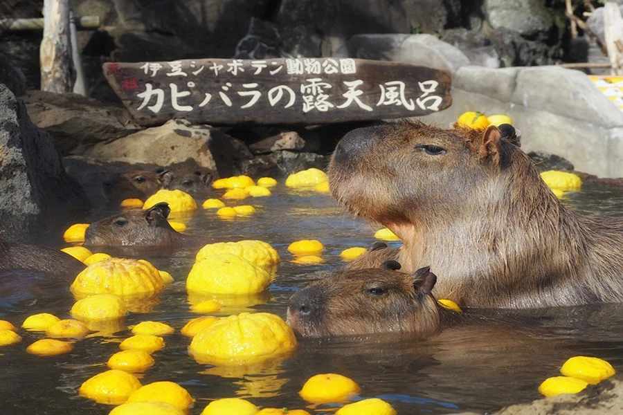 東伊豆のイメージ2