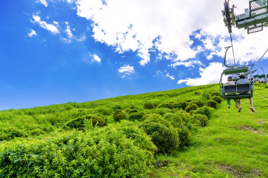 伊豆高原のイメージ2