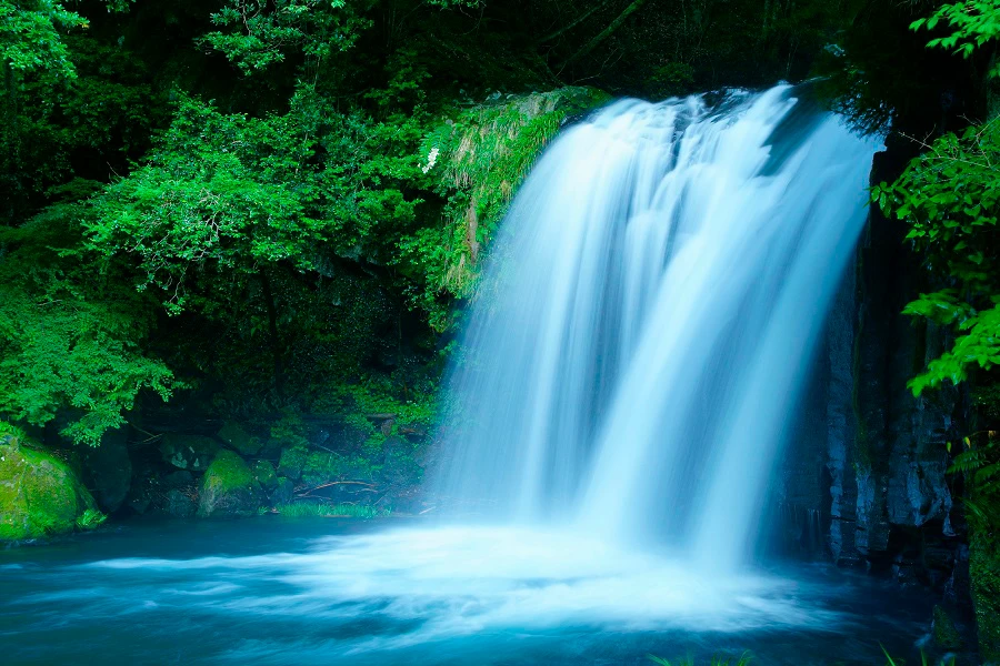 河津のイメージ2