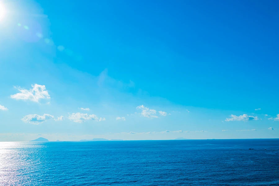 河津のイメージ3