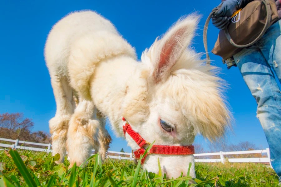 那須塩原のイメージ1