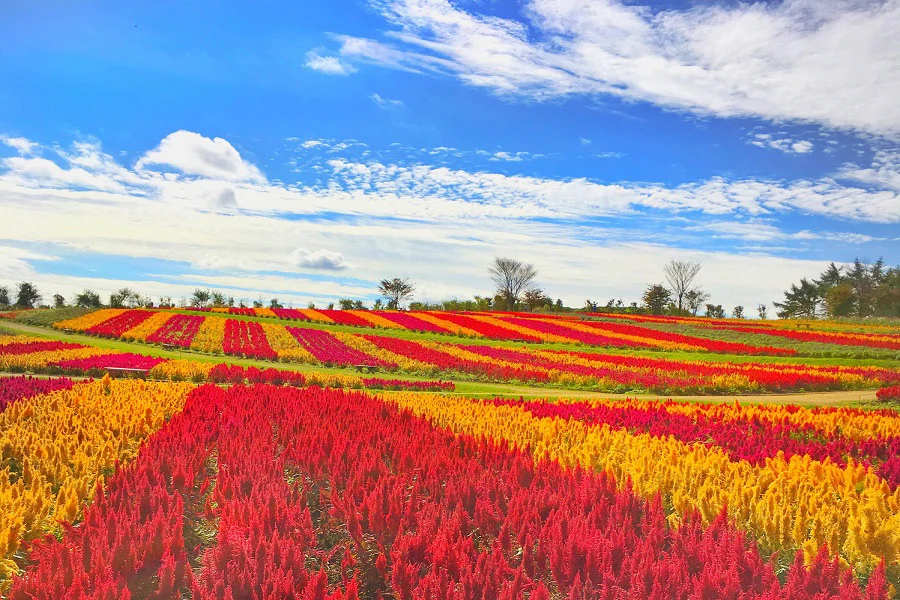 那須高原のイメージ1