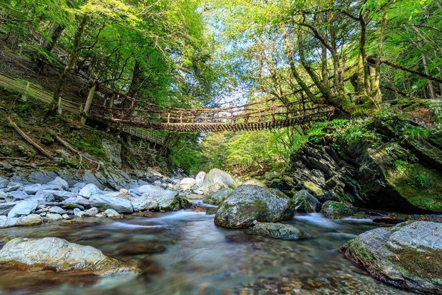 祖谷のイメージ1