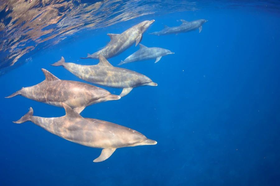 東京都その他エリアのエリア紹介イメージ
