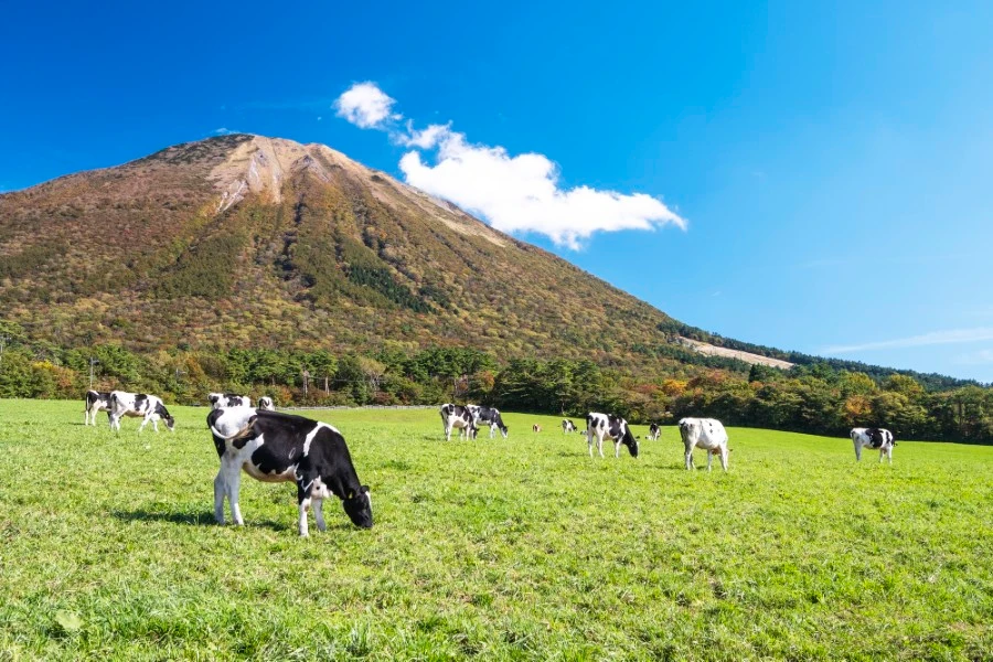 大山のイメージ2