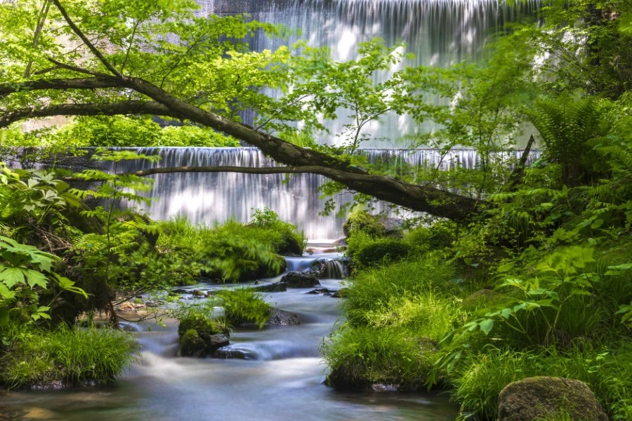 奥大山のイメージ2