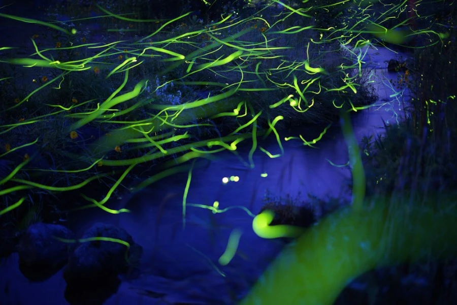 奥大山のイメージ3