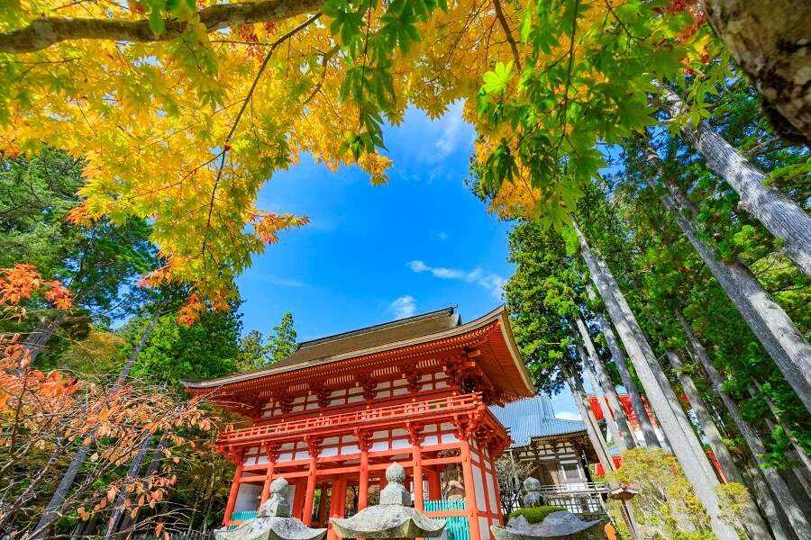 高野山のイメージ1