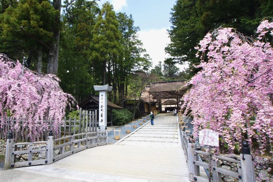 高野山のイメージ2