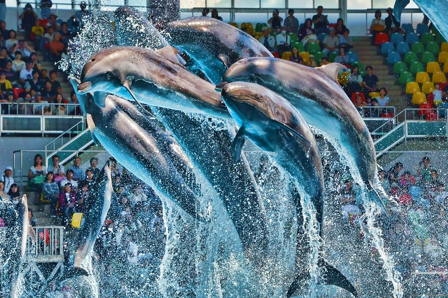 南紀白浜のイメージ3