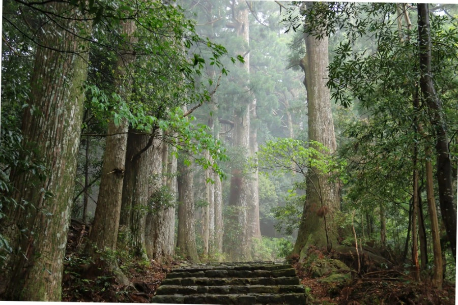 渡瀬温泉のイメージ3