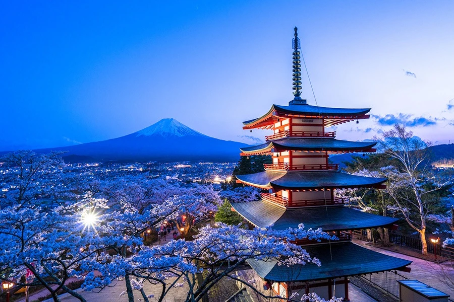 河口湖のエリア紹介イメージ