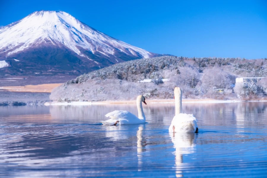 山中湖のイメージ2