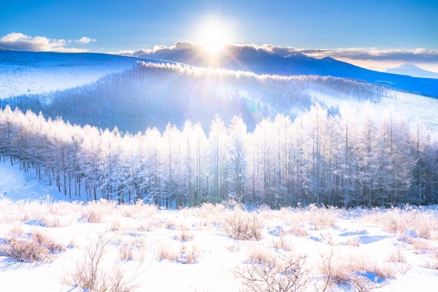 八ヶ岳のイメージ1