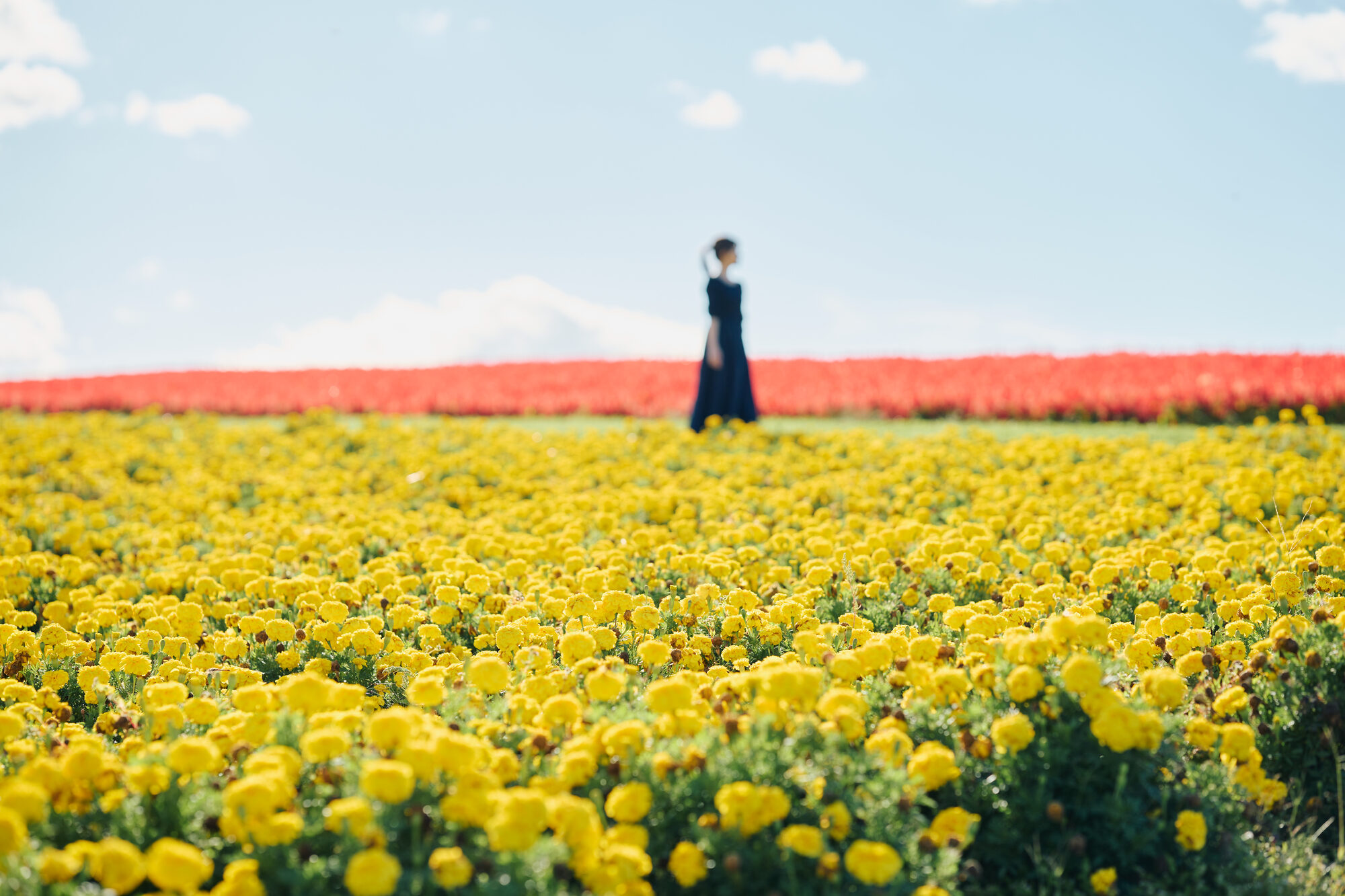 北海道の服装完全ガイド！季節ごとにおすすめの服装をご紹介◎