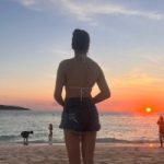 スタッフプロフィール