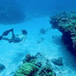 リゾートバイト体験談 No.48