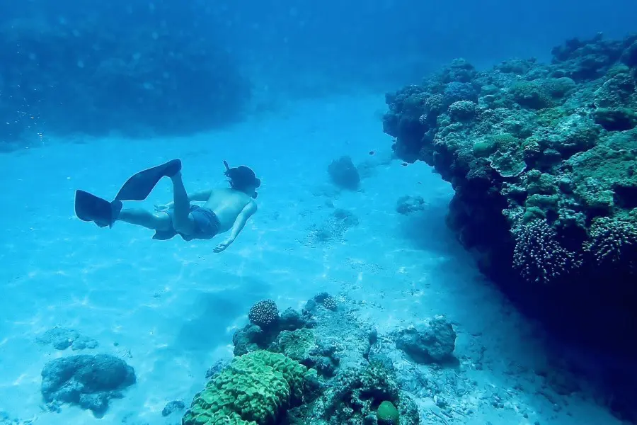 体験談詳細ページ