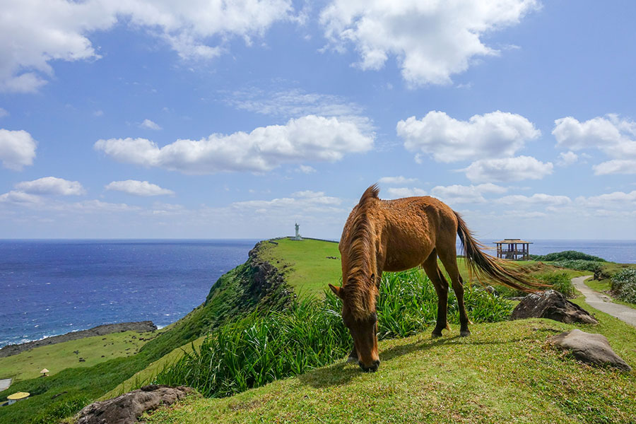 沖縄_与那国島_