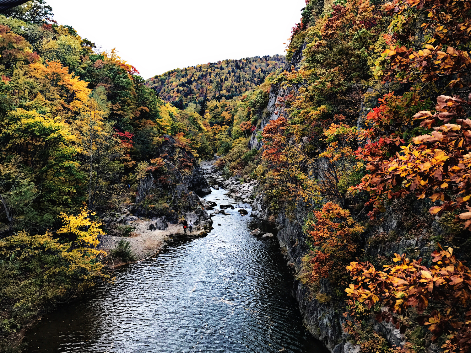 北海道